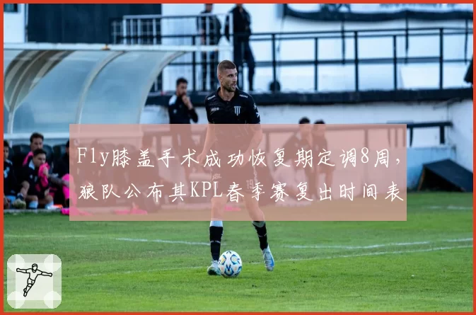 Fly膝盖手术成功恢复期定调8周，狼队公布其KPL春季赛复出时间表
