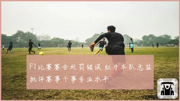F1比赛赛会处罚错误 红牛车队总监批评赛事干事专业水平