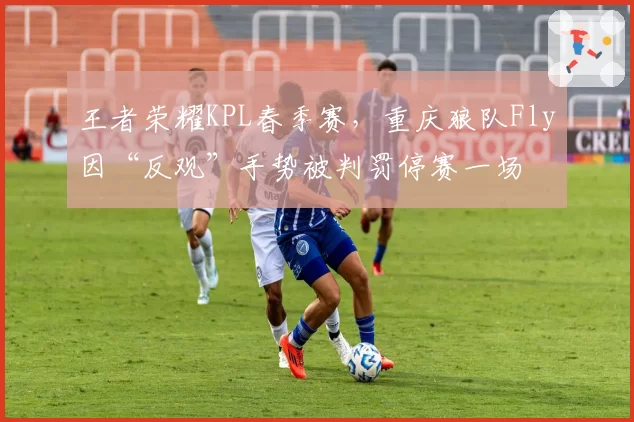 王者荣耀KPL春季赛,重庆狼队Fly因“反观”手势被判罚停赛一场